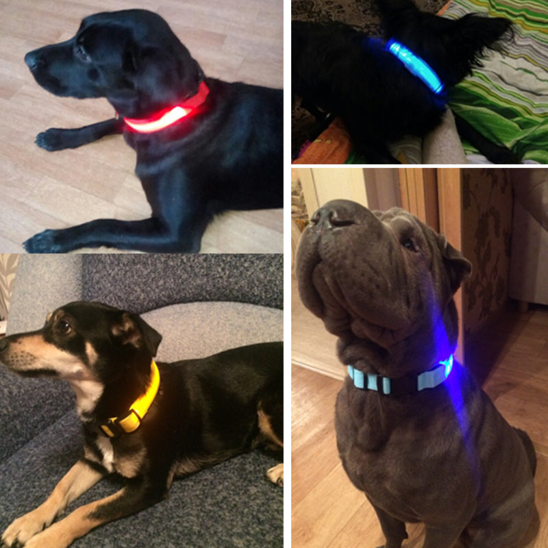 Coleira de LED para Cães e Gatos com Carregamento USB